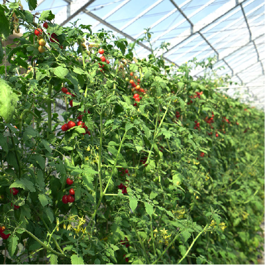 協議会について