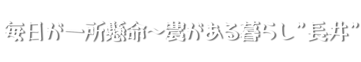 一杯目のビールがうまいかどうかでその日の価値は決まる